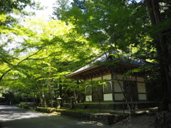 夏の佛通寺