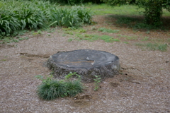 P1000250