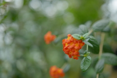 P1000293