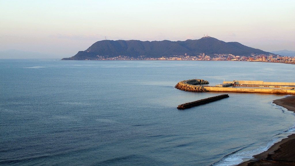 旅情 2011