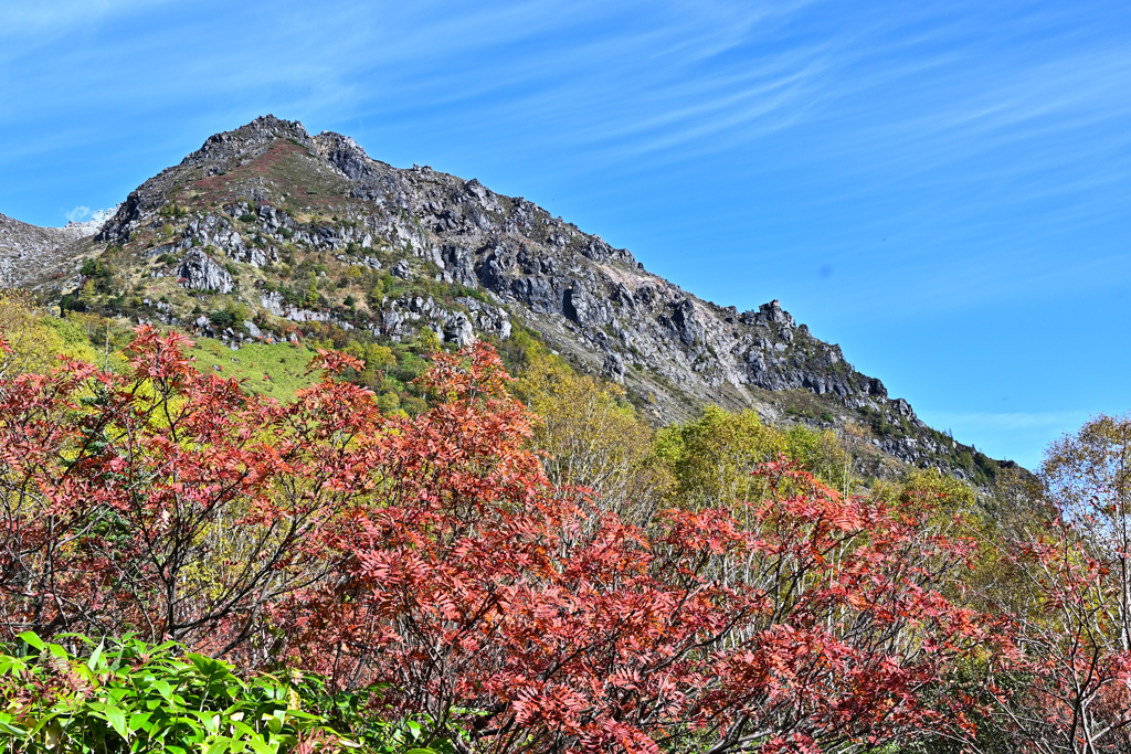 焼岳の紅葉