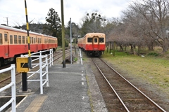 小湊鉄道さと山ウオーク 28