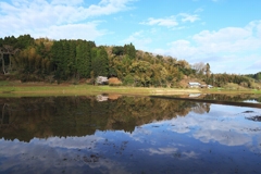 散歩道 79