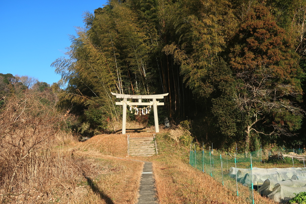 氏神様で新年祭