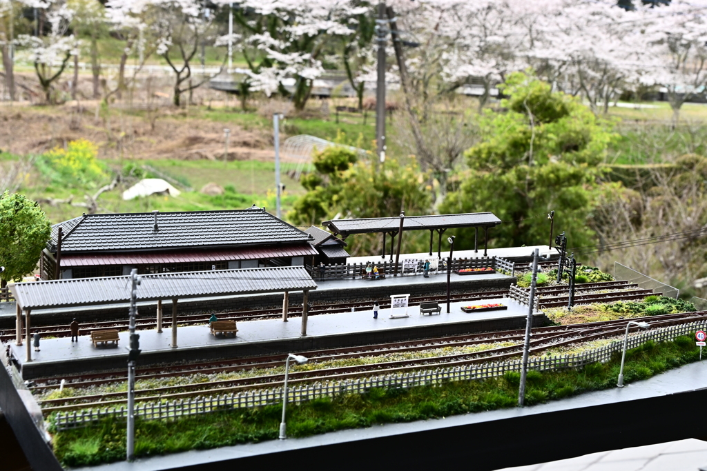 春の中房総鉄道