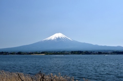 湖上の富士山