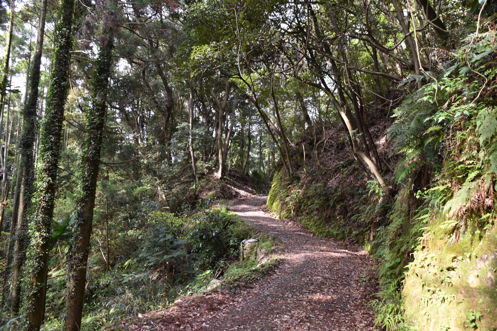 山道