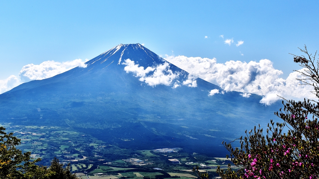 5月の富士山