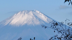 2016 丹沢　檜洞丸 4