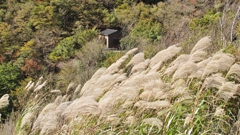 2016 丹沢　檜洞丸 8