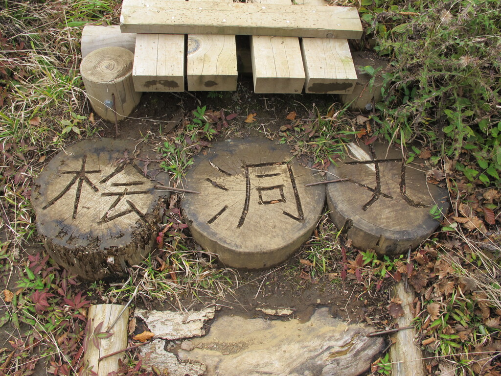 2016 丹沢　檜洞丸 5