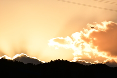 夕陽は彼方へ