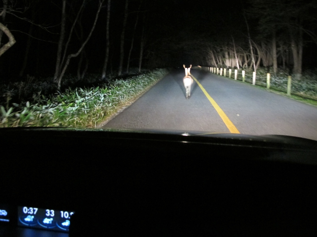 2016 奥日光 太郎山 1