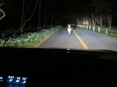 2016 奥日光 太郎山 1