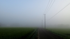 霧の散歩道