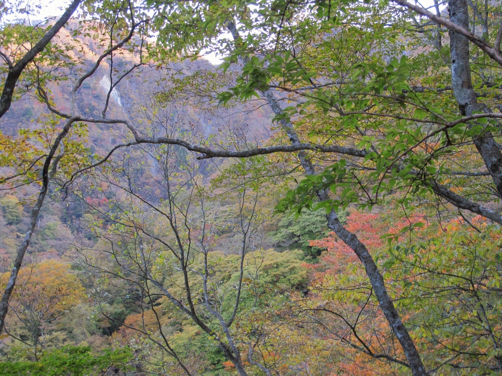 2016 丹沢　檜洞丸 2