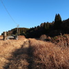 冬の午後散歩 3