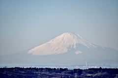 市原から富士山