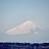 市原から富士山