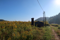 散歩道 210