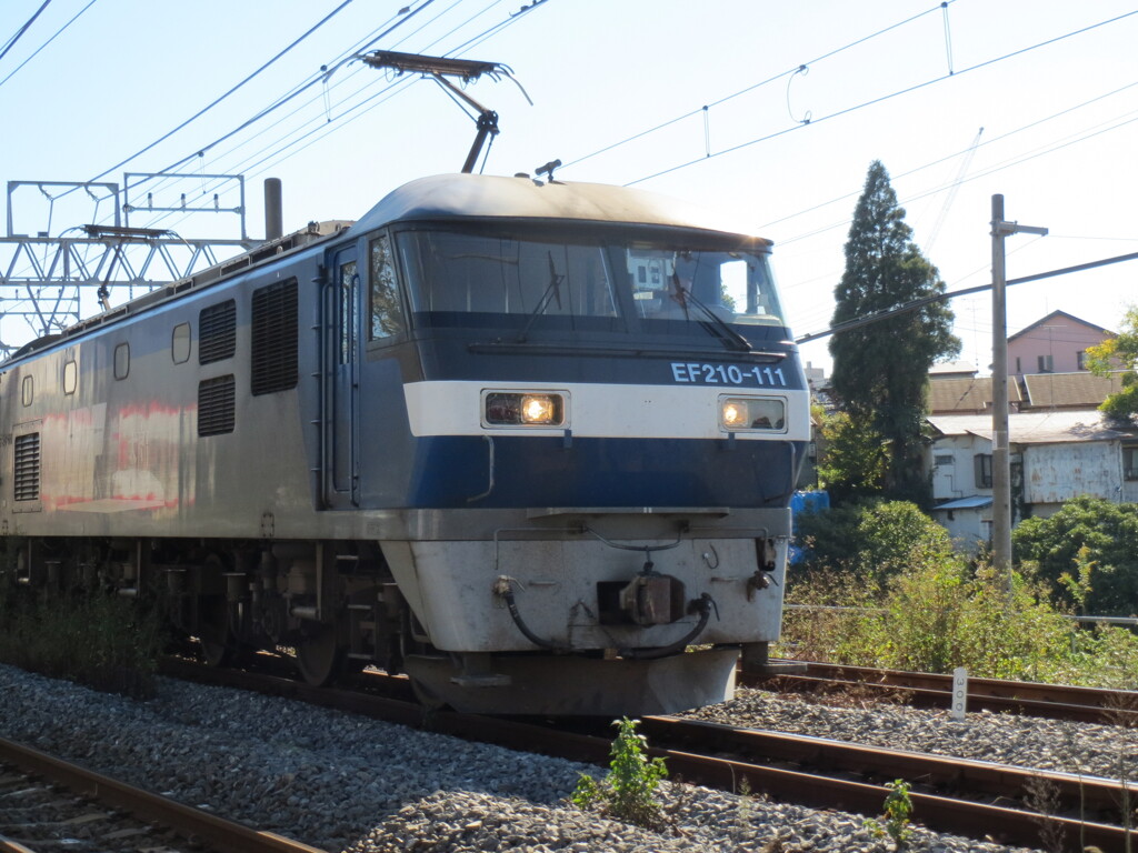 桃太郎 2013
