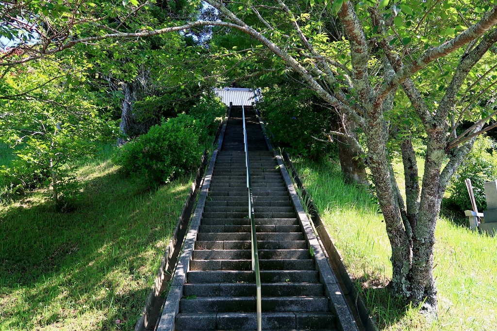 散歩道 134