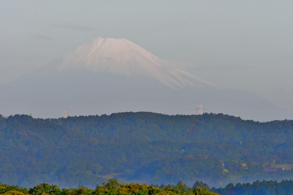 朝の富士山