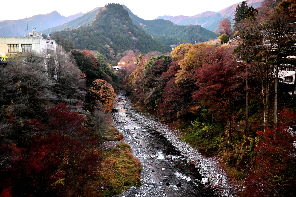 渓谷の紅葉