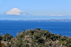 富士山と南アルプス