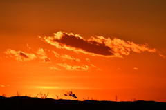 夕焼け雲 2