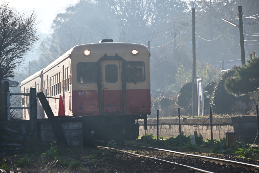 小湊鉄道さと山ウオーク  31