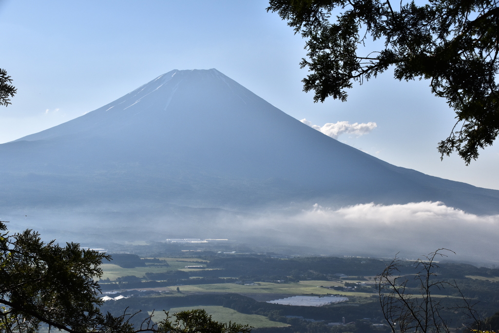 朝富士