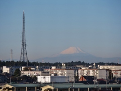 成田から富士山！(2013)