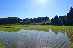 散歩道 94