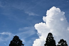 9月の空