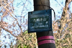 千葉の山歩き2025-3