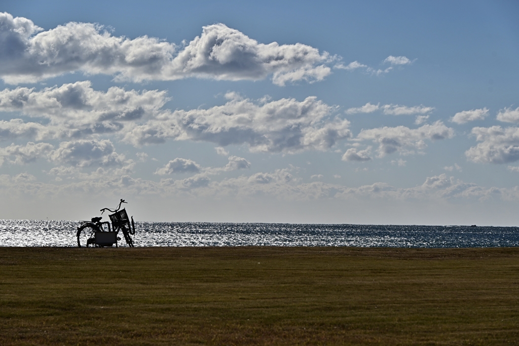 自転車に乗って