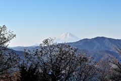 奥多摩から富士