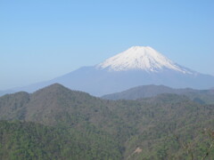 丹沢　大室山からの富士山
