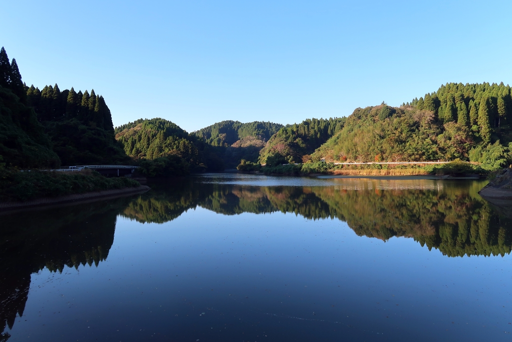 散歩道 206
