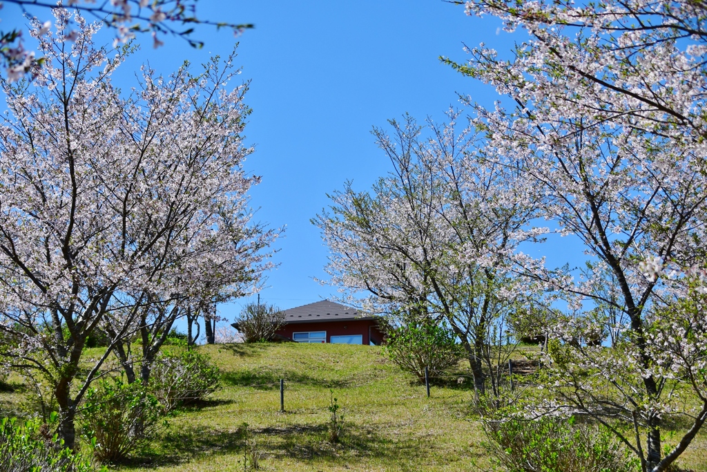 丘の上のカフェ