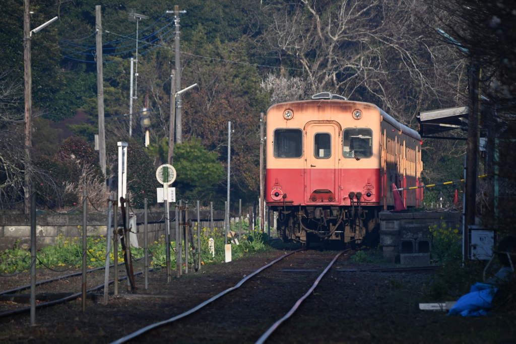 小湊鉄道さと山ウオーク 30