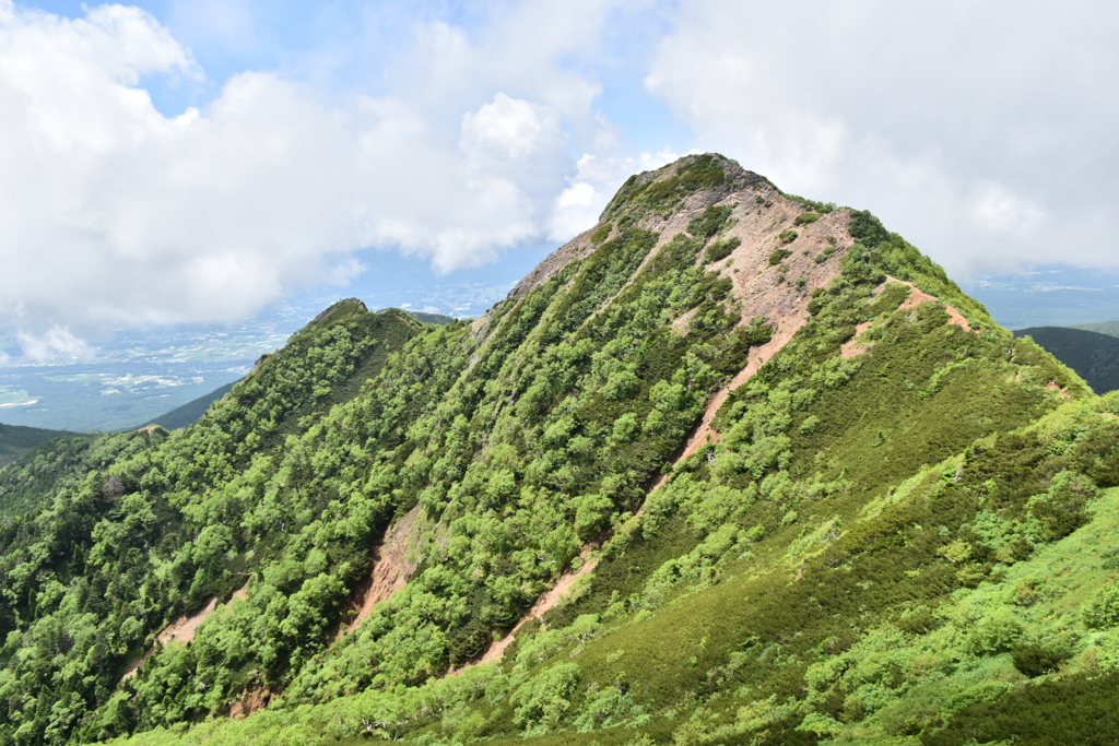 2020夏山