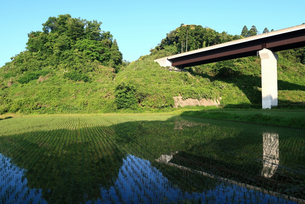 散歩道 109