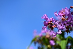 気温35℃の空