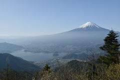 富士山と河口湖