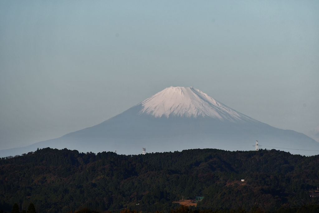 朝富士 2