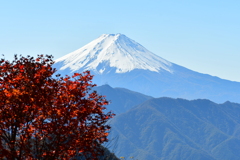 紅葉と富士 2