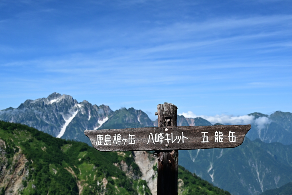 標識
