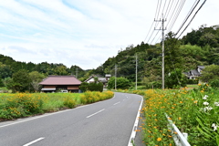 千葉の山歩き 10